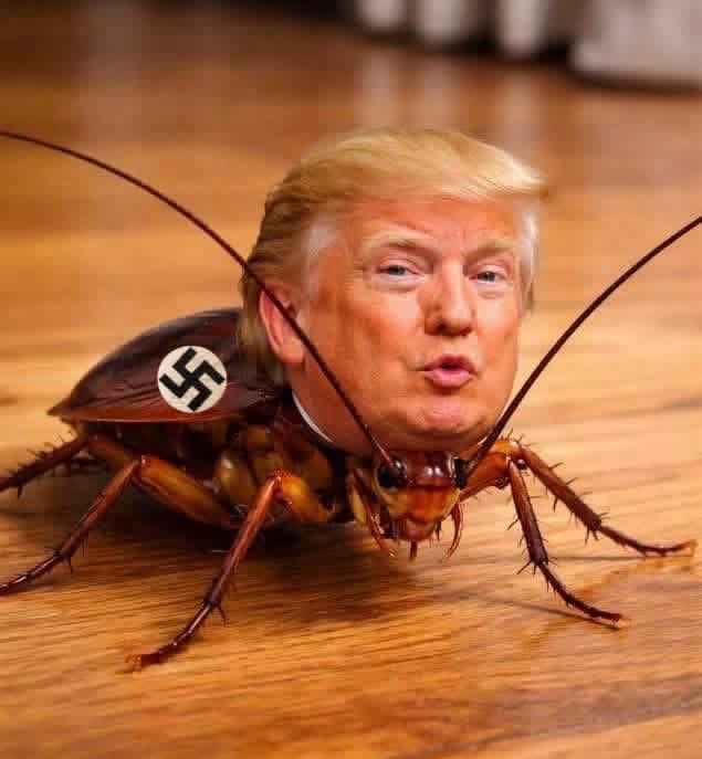 DolLeague's tweet photo. @TheStripesGirl Trump’s a COCKROACH. https://t.co/GuB2nh9wSf