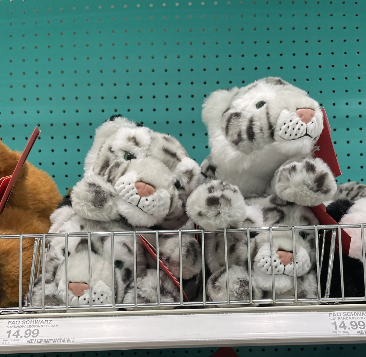 NobleHyena's tweet photo. For the “cheap” price of $14.99 (+tax) you could own a Taki-kun plushie. https://t.co/KiLiyl7KAs