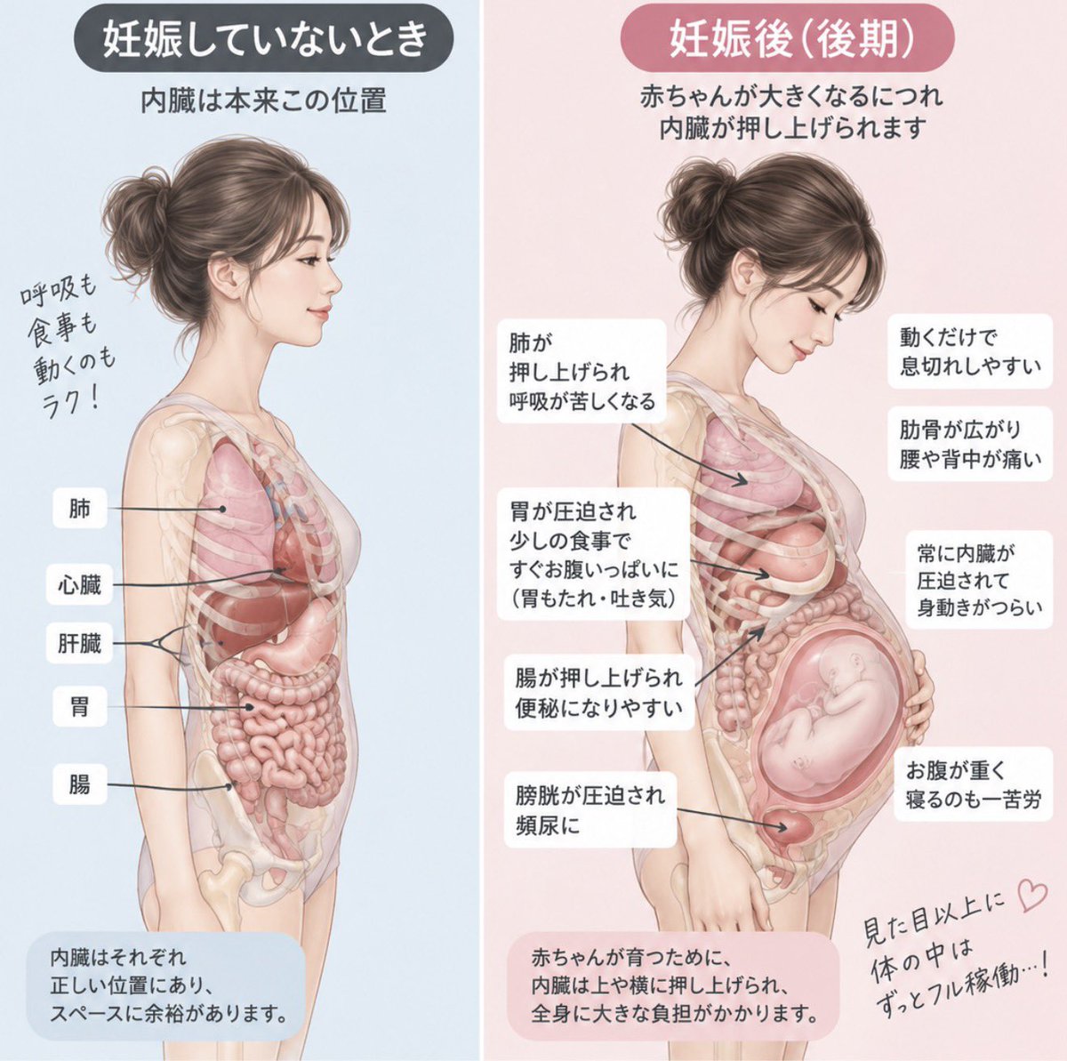 matsuda_rie58's tweet photo. 4人目妊娠中なんですが、

これ見るたびに思う。
人間の身体、無理やりすぎん？🤣

赤ちゃんの場所を作るために
内臓みんなで詰めて譲り合ってる…。

そりゃ息切れするし、
胃もたれるし、
頻尿にもなるわ。

しかも私、
今年これ2周目です…笑

人体ってすごい。
というか母体、めちゃくちゃ頑張ってる。

12月まであと少し。
内臓のみなさん、引き続きよろしくお願いします🤣