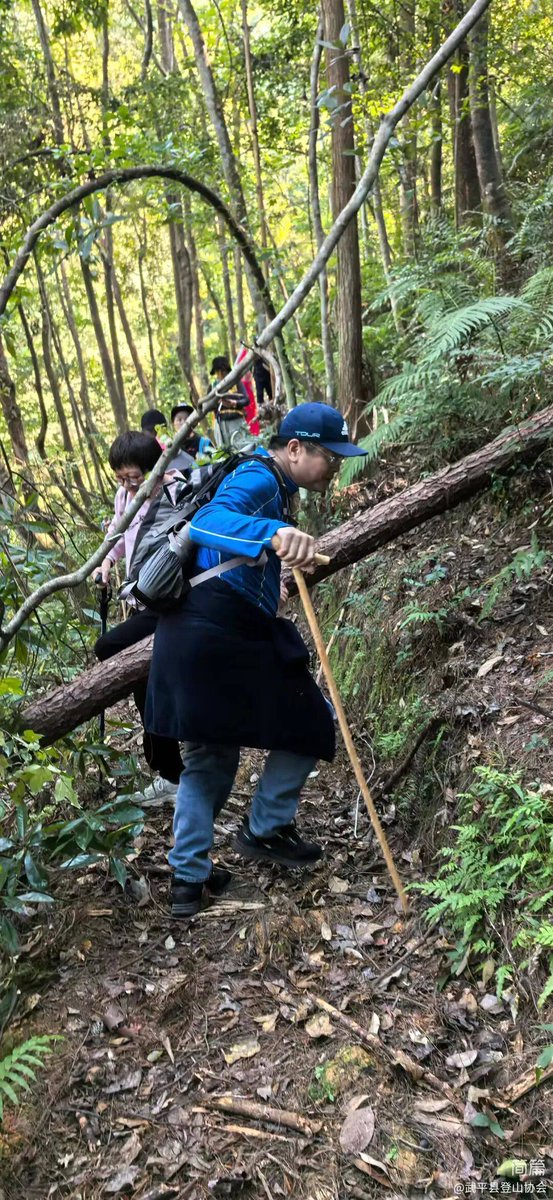 GeraldFernuo4u's tweet photo. Just ripped the hiking trail sign and now I’m lost in the woods—oops, bad move! https://t.co/AZTjwU9xAz