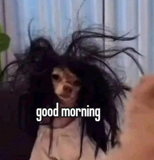 kyraphelia's tweet photo. met pagi @splABAH @splALOYY @splYONO @subGALON @TUKANGxGALON jangan lupa sarapan. https://t.co/wCT2kBl7D8