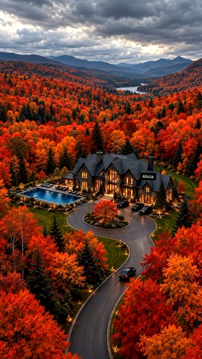 AmordAlma_'s tweet photo. 🍂🍁Have a great Tuesday!🍂🍁 https://t.co/BUTgl6XCbe