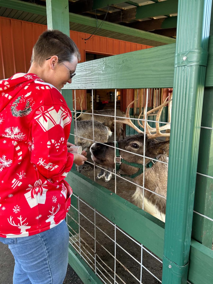 authorJWiller's tweet photo. More pictures from yesterday. 🦌 I got to feed them!!! https://t.co/P2PPJQNVck