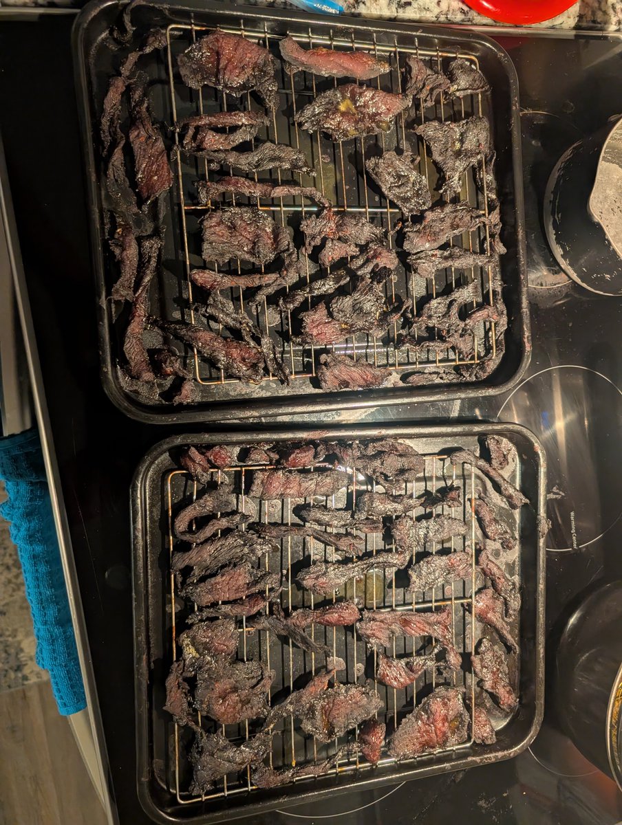 mosinztv's tweet photo. Beef jerky success rate 100%! https://t.co/irPU23RAzG