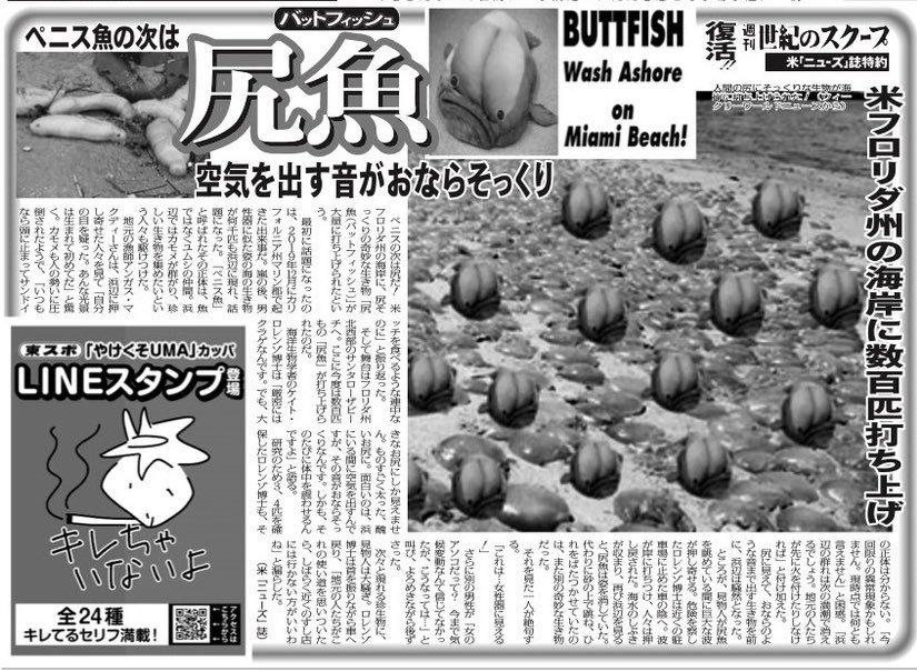 tospo_UMA's tweet photo. 昨日になりますが、10月5日発行の東スポの記事「尻魚　米フロリダ州の海岸に数百匹打ち上げ」です。

ウィークリー・ワールド・ニュースの「世紀のスクープ」が毎週月曜日発行の東スポに載っています。

今日発売です。 https://t.co/56d7wWlvkG