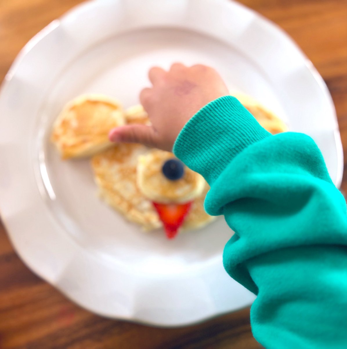 mipiandco's tweet photo. Pancake Party🤪🥞🐶🫐🍓🧈🍯 https://t.co/Htx3z1OOoj