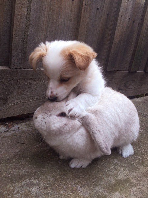 Averythlour's tweet photo. Wait aw aw aw aw https://t.co/tcIGwY1VMe