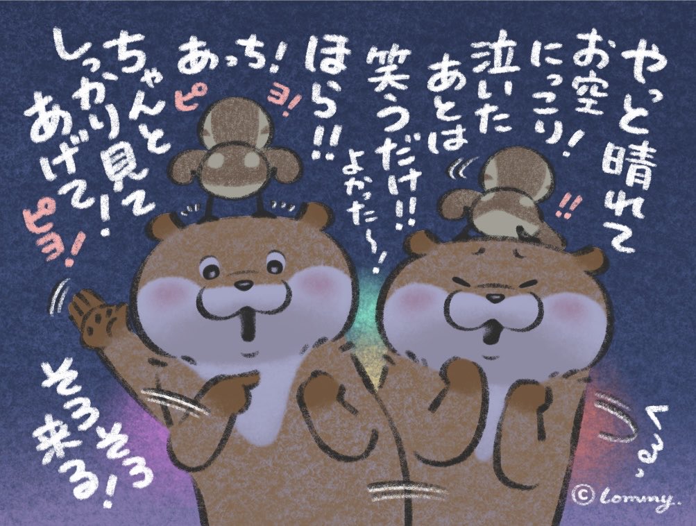 kawa_ii_uso's tweet photo. しっかり見てあげてほしいの🎆
#カワウソ https://t.co/82ClQwwQtF