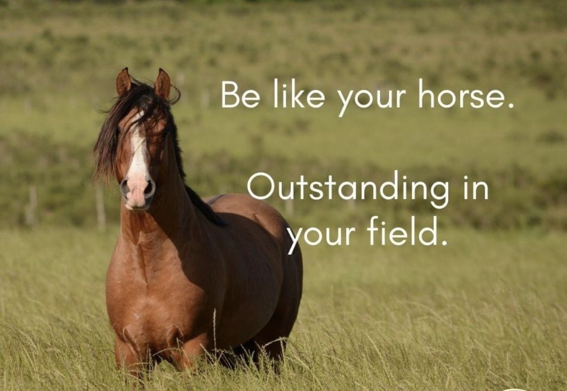 Unbridledones's tweet photo. https://t.co/IrRfdx6hCZ