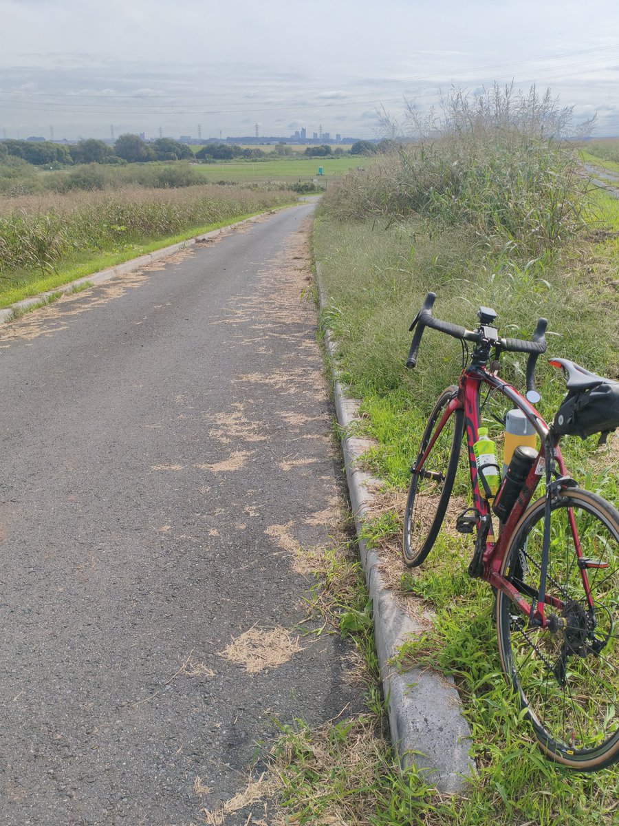 000newtype26538's tweet photo. #利根運河  #江戸川  #サイクリング
草加から利根運河
玉葉橋を渡れば良いのに
間違えて通り越して野田橋まで https://t.co/wQ8r9BIe6V