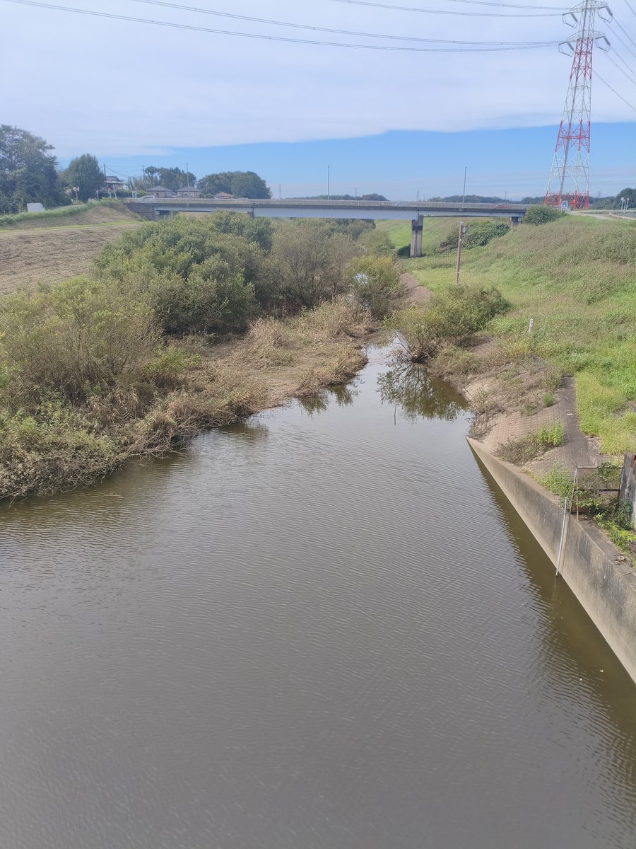 000newtype26538's tweet photo. #利根運河  #江戸川  #サイクリング
草加から利根運河
玉葉橋を渡れば良いのに
間違えて通り越して野田橋まで https://t.co/wQ8r9BIe6V
