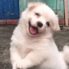 ikeufofinho's tweet photo. @heejayev obg ! https://t.co/8i4f1qkAow