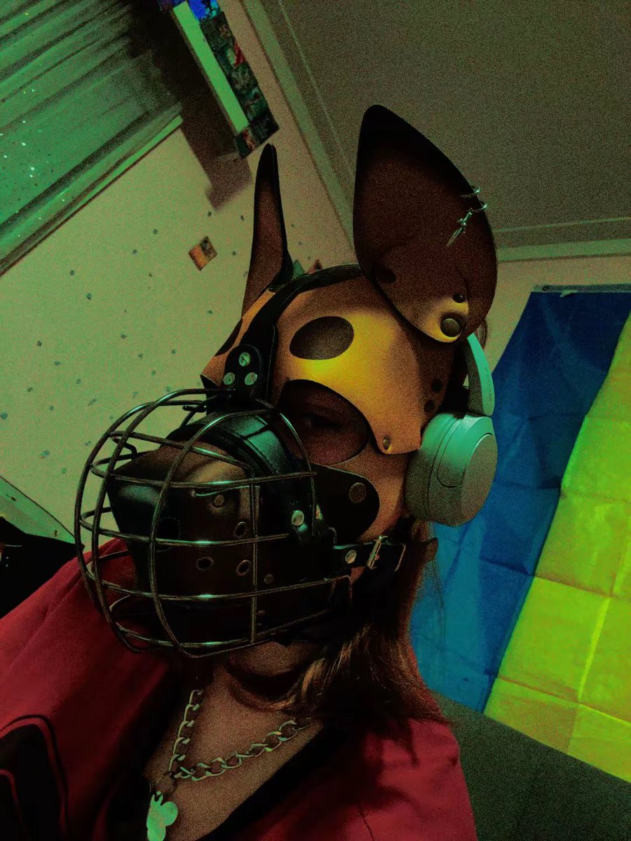 tokyo_fur's tweet photo. This puppy will be at Mfc+ Nocturnal 2026 https://t.co/0Z47eq3qW6