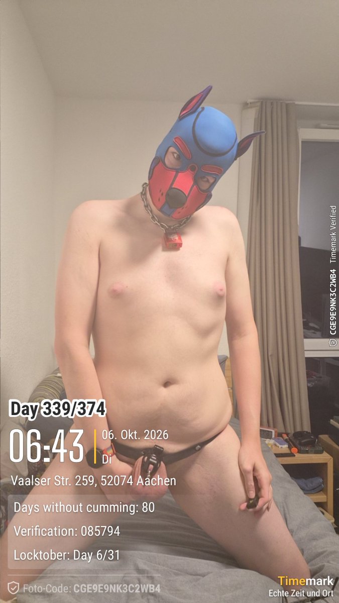 PuppyRudi's tweet photo. Today's Cagecheck 339/374 #teamlocked #locked #lockedpup #lockedfag #lockedboi #puppy #puppyplaygay #puppyplay #caged #cagetime #gay #kink #kink3d #chastity #chastitypup #chastityfag #chastityslave #showyourlock #locktober https://t.co/UVEB9XpbHy
