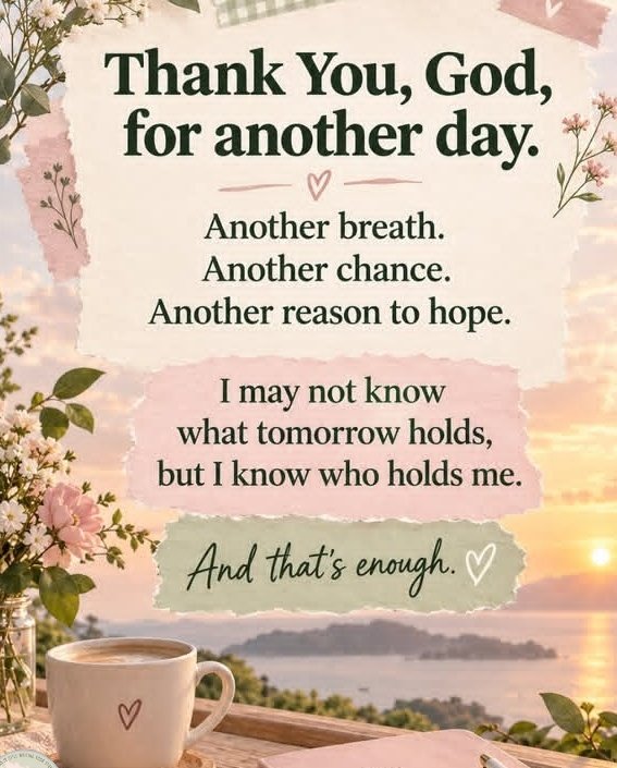 ProprieteC's tweet photo. Happy blessed Tuesday ! 🌿💖 https://t.co/ZkhK2bmfBL
