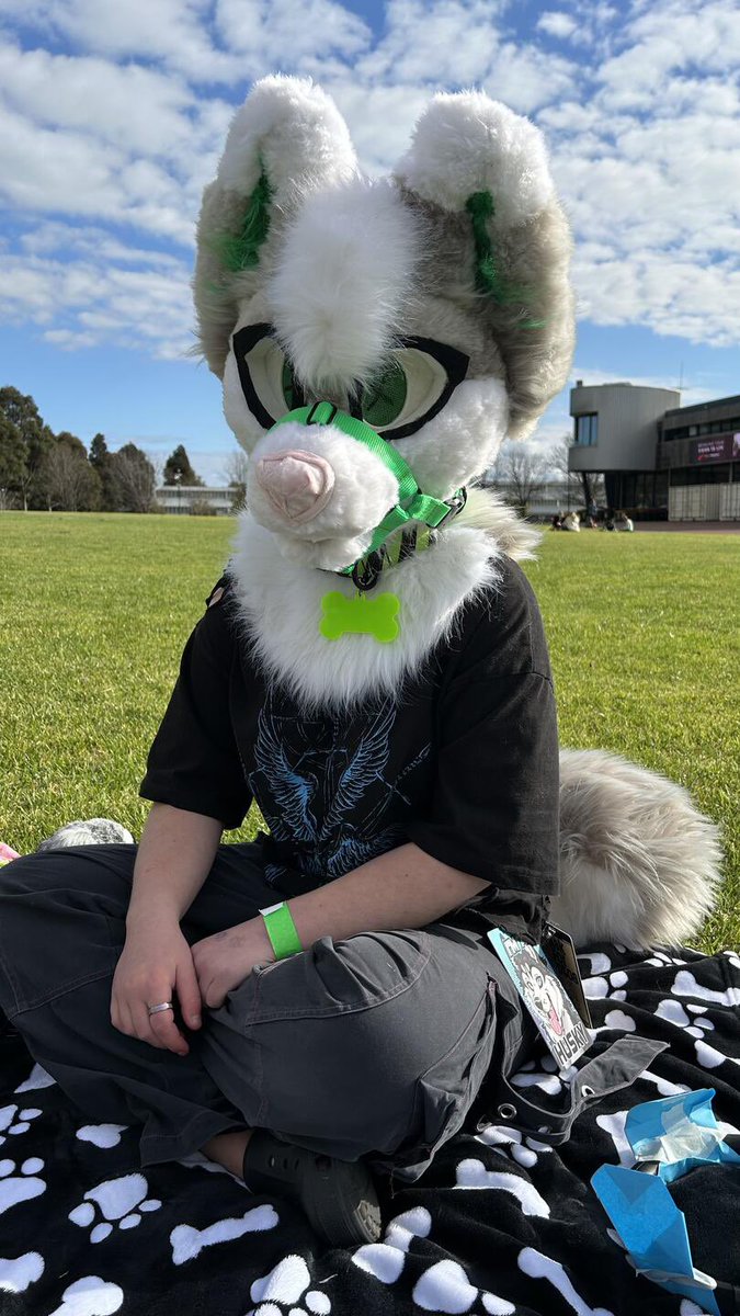 tokyo_fur's tweet photo. Will start posting more suit content when the time of the month is gone😩 https://t.co/RJxDnAcXC8