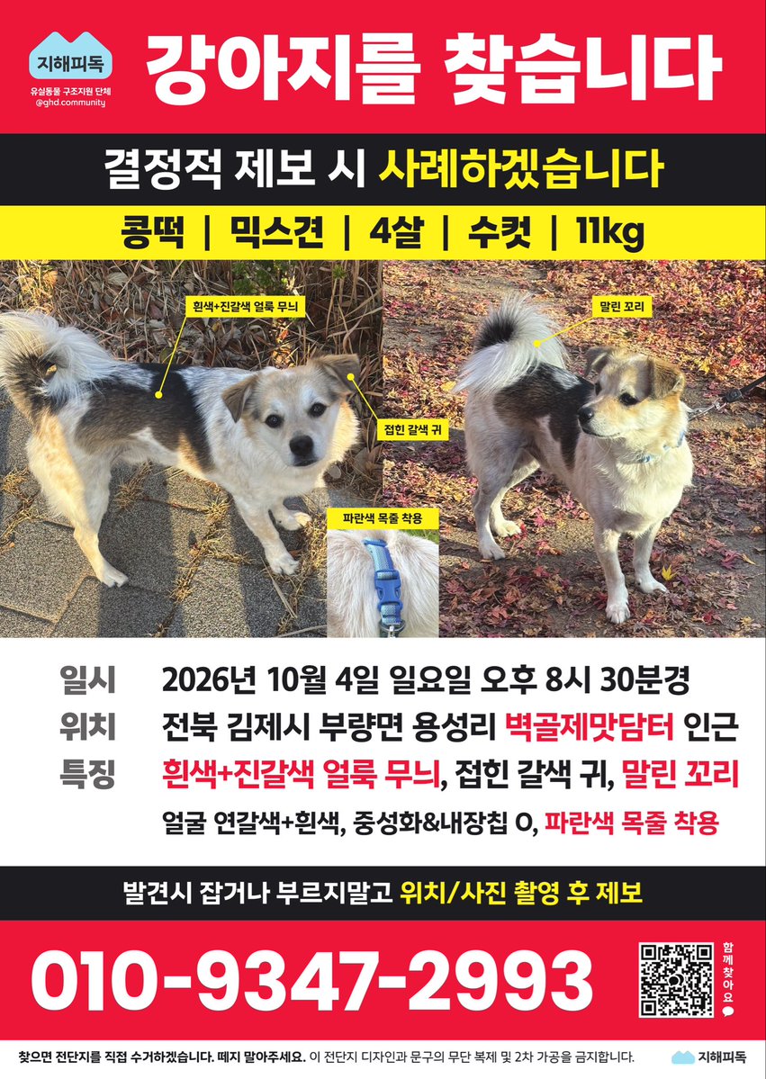 congddukl's tweet photo. 김제 지평선 축제 중 폭죽 소리에 놀라 도망갔습니다 인근 다 뒤져봤는데 없어서 김제 다른 위치나 정읍에 떠돌고 있을 것도 같습니다 

파란색 목줄을 하고 있고 경계심이 많으니 부디 쫓지 마시고 사진 제보 부탁드립니다

제보가 하나도 없습니다 제발 공유 부탁드립니다

브라질대선 유기견 트윈스 https://t.co/3Di2wOniE4