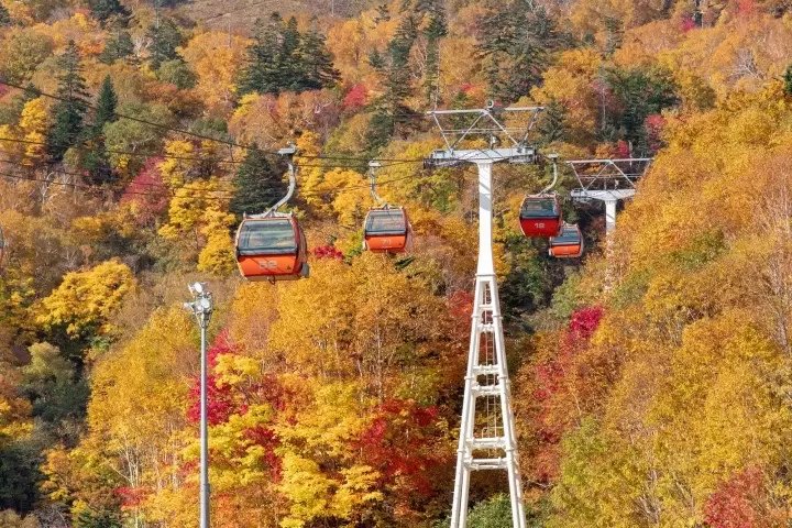 MATCHA_global's tweet photo. Float above a sea of gold and crimson leaves, sip regional wines in Otaru, and walk beneath illuminated night maples! 🍂🍷 Hokkaido’s October event lineup is pure magic from top to bottom. 👉 https://t.co/2sxKawZ3Tj https://t.co/rEu5G4Co5U