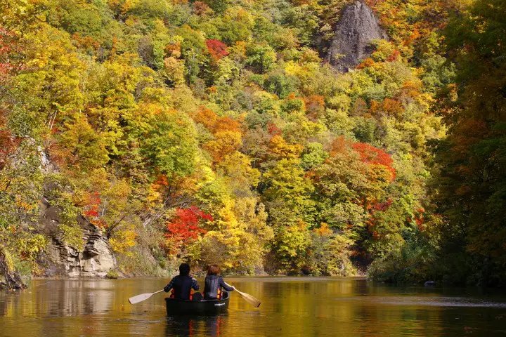 MATCHA_global's tweet photo. Float above a sea of gold and crimson leaves, sip regional wines in Otaru, and walk beneath illuminated night maples! 🍂🍷 Hokkaido’s October event lineup is pure magic from top to bottom. 👉 https://t.co/2sxKawZ3Tj https://t.co/rEu5G4Co5U
