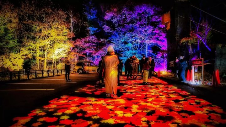 MATCHA_global's tweet photo. Float above a sea of gold and crimson leaves, sip regional wines in Otaru, and walk beneath illuminated night maples! 🍂🍷 Hokkaido’s October event lineup is pure magic from top to bottom. 👉 https://t.co/2sxKawZ3Tj https://t.co/rEu5G4Co5U