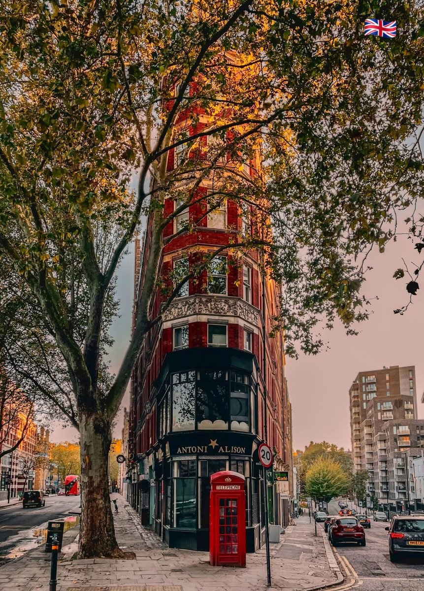 solomonwarroom's tweet photo. @combatsporrt Tyson, if in a phone box https://t.co/FFGP9osPe3