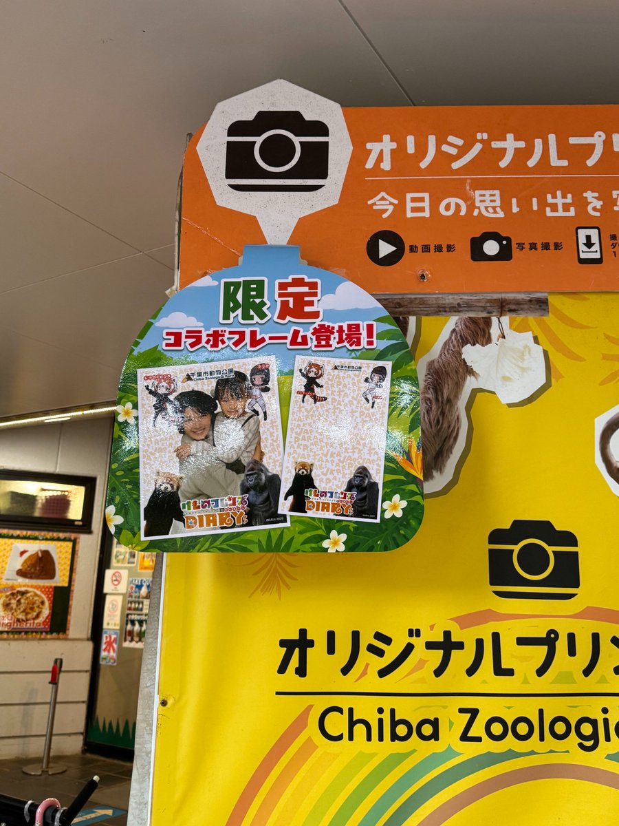 kemono_diary's tweet photo. #千葉市動物公園「BREW at the ZOO 2026」で
けものフレンズダイアリー 盛り上げ企画
今週末も開催されます🎉 

けもフレダイアリー  千葉市動物公園周辺スポットラリーも10月12日まで延長開催！

千葉市動物公園で毎年開催されるクラフトビールの祭典「BREW at the ZOO 2026」と、けもフレダイアリーがコラボ中

開催日時
10月10日(土)・11日(日)・12日(月祝)
🕐10時00分～16時00分（売り切れ次第終了）

※雨天決行
天候により、営業を縮小する場合���あります。 

📍千葉市動物公園  盛り上げポイント↓
■けもフレダイアリー フォトスポット
■フレンズたちのミニスタンディパネルたくさん展示
■森のレストラン設置の「プリントシール機」に、限定の、けもふれダイアリーコラボフレームが登場
■ゴリラとブチハイエナのオリジナルコースター付きコラボドリンクの販売(アルコール/ノンアルコール) 

※コースター記載の二次元コードで限定スポットカードが取得できます

千葉市動物公園周辺スポットラリー開催中の動物公園でイベントとラリーと一緒に楽しみましょう🚩
https://t.co/qn6du1D7XF

#けものフレンズ #けもフレダイアリー