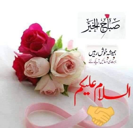 A greeting card featuring pink and red roses alongside a pink ribbon and Arabic/Urdu script that includes 'صباح الخير' (Good Morning) and 'السلام علیکم' (Peace be upon you).