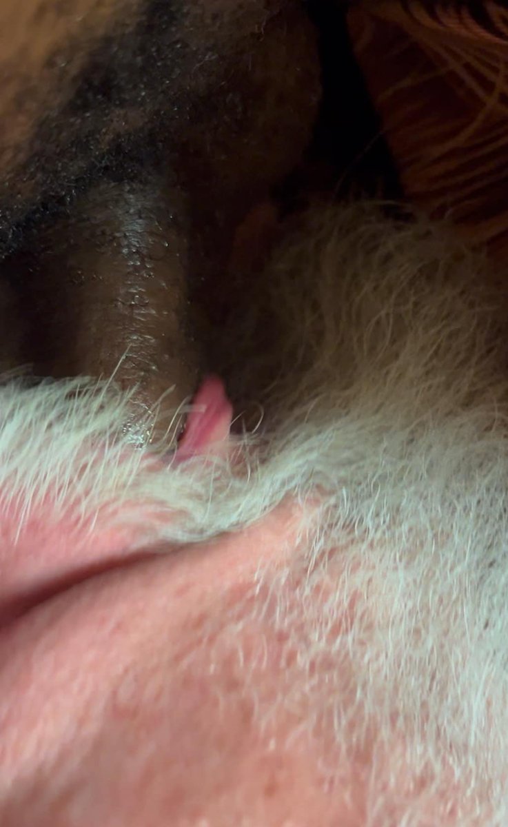 Hogfather61's tweet photo. I hope pictures count! The guy couldn’t handle videoing me sucking his dick. So he took four pictures and that was it.🤣 https://t.co/glx7ndj050