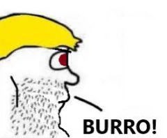 1905azulyoro's tweet photo. Me puse nervioso hablando con una mujer linda y le pregunté si su sobrino de 3 habla fluido… BURRO! https://t.co/6CSPmqVICQ