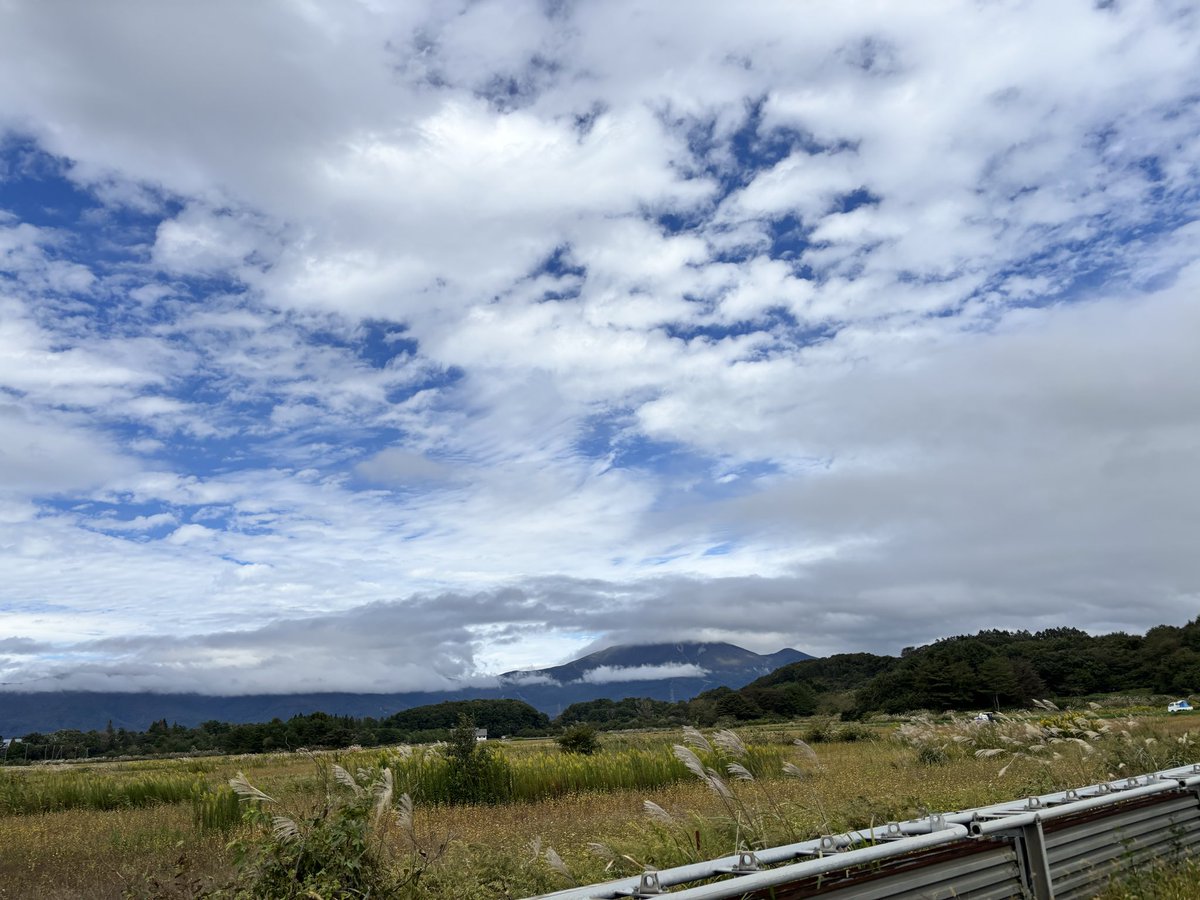 Chees7Cat's tweet photo. 会津若松に行って来ました。

#秋の旅行
#親戚一同 https://t.co/U7CM6h6TVN