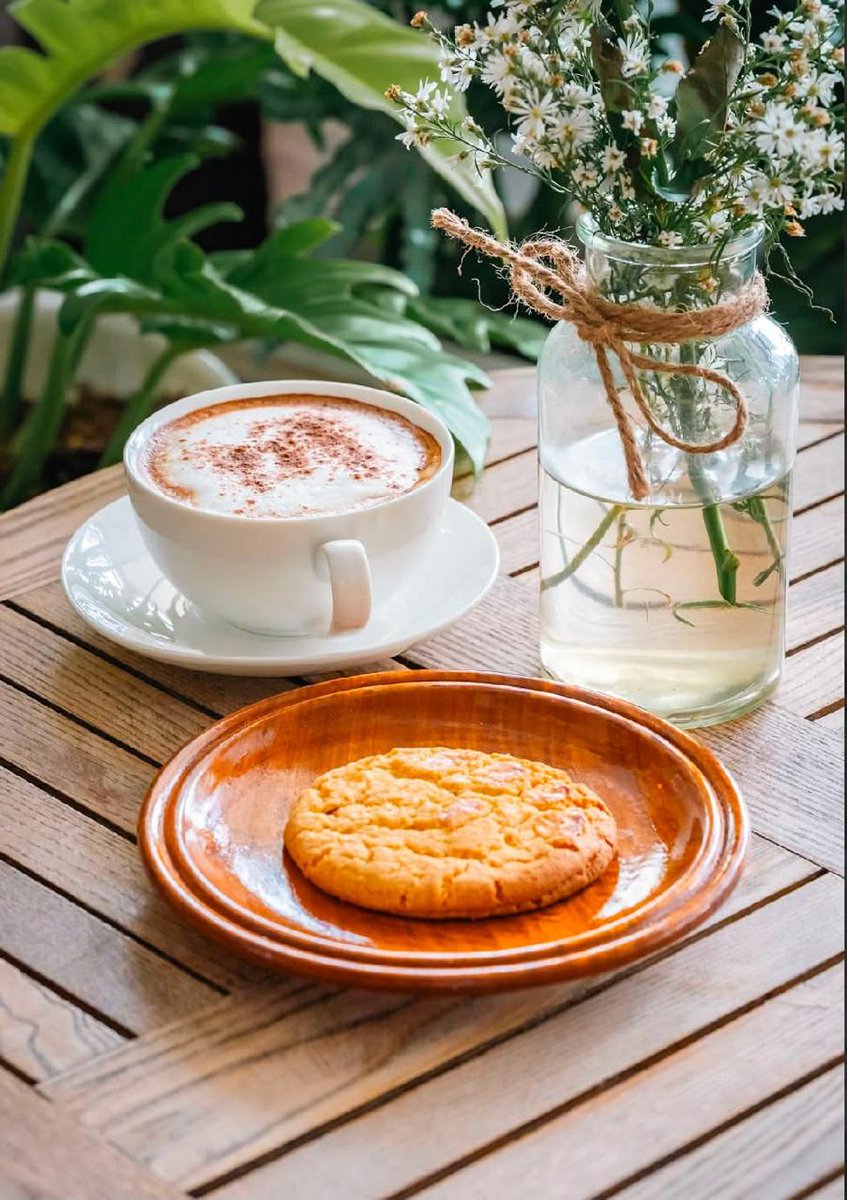 CityMallPh's tweet photo. Enjoy good food and relaxing vibes at North Cafe and Co CityMall Bacalso Cebu City🍛🥪🥤

#CityMallPH #cebucity https://t.co/Nlg9rxWSBx