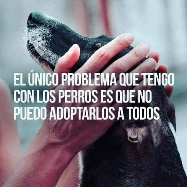 ManuSaenzVolvio's tweet photo. Literal!
❤️ https://t.co/BnphczjbzC