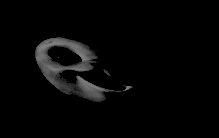 skizzume's tweet photo. slendytubbise 2 unused jumpscare https://t.co/JyjhbFzt6B