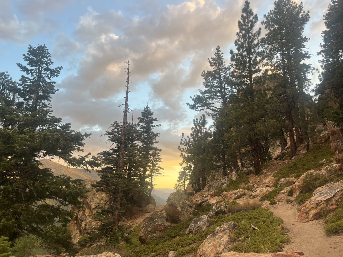june__002's tweet photo. There is a certain quality of light in the Sierra autumn that makes you think of Generations https://t.co/alGbccOO25