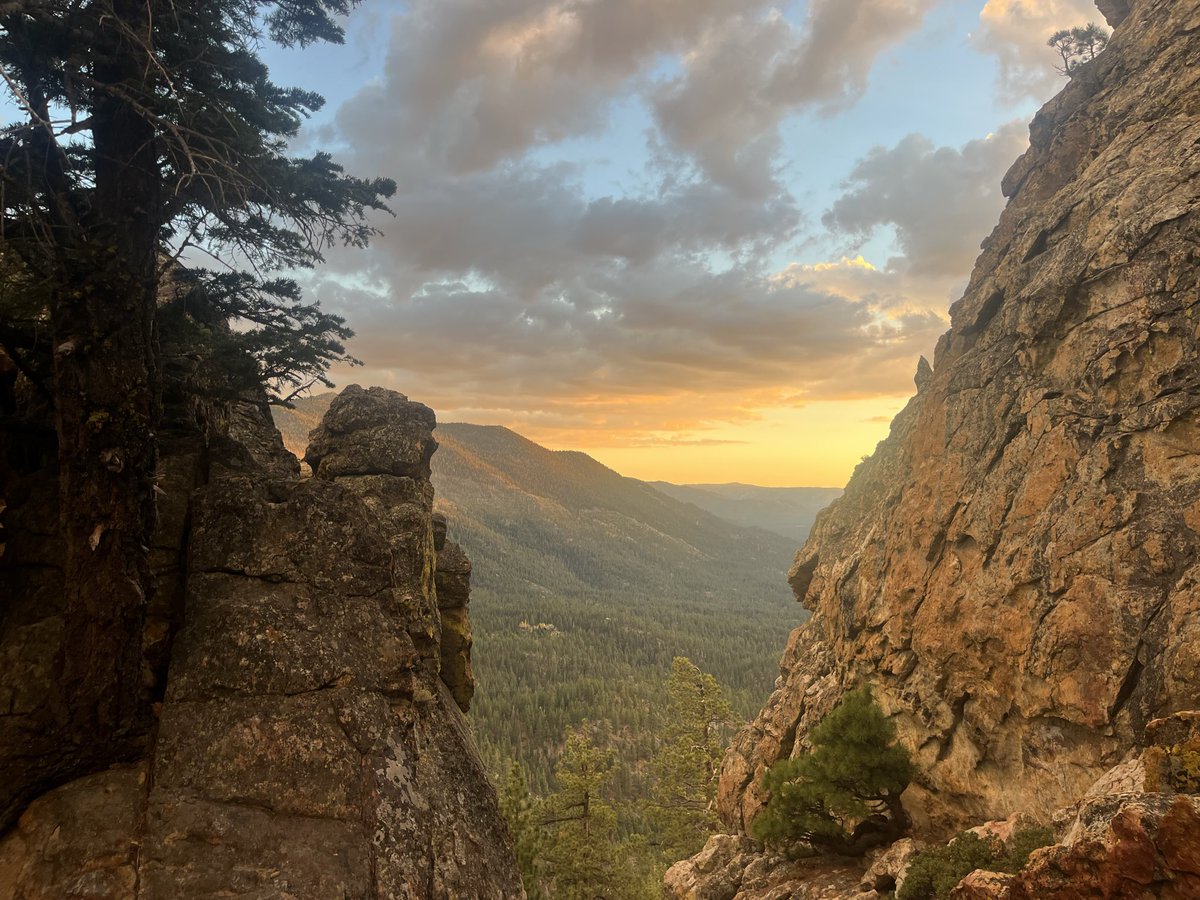 june__002's tweet photo. There is a certain quality of light in the Sierra autumn that makes you think of Generations https://t.co/alGbccOO25