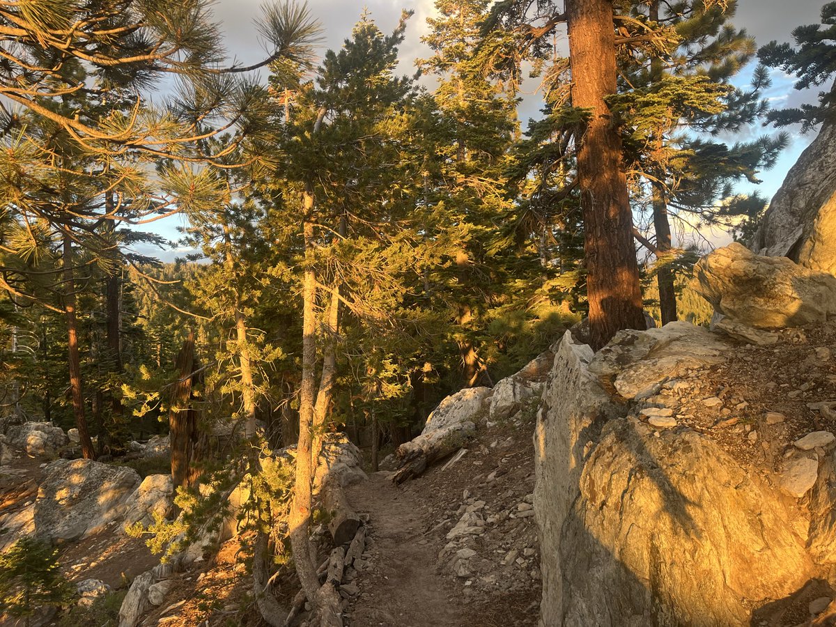 june__002's tweet photo. There is a certain quality of light in the Sierra autumn that makes you think of Generations https://t.co/alGbccOO25