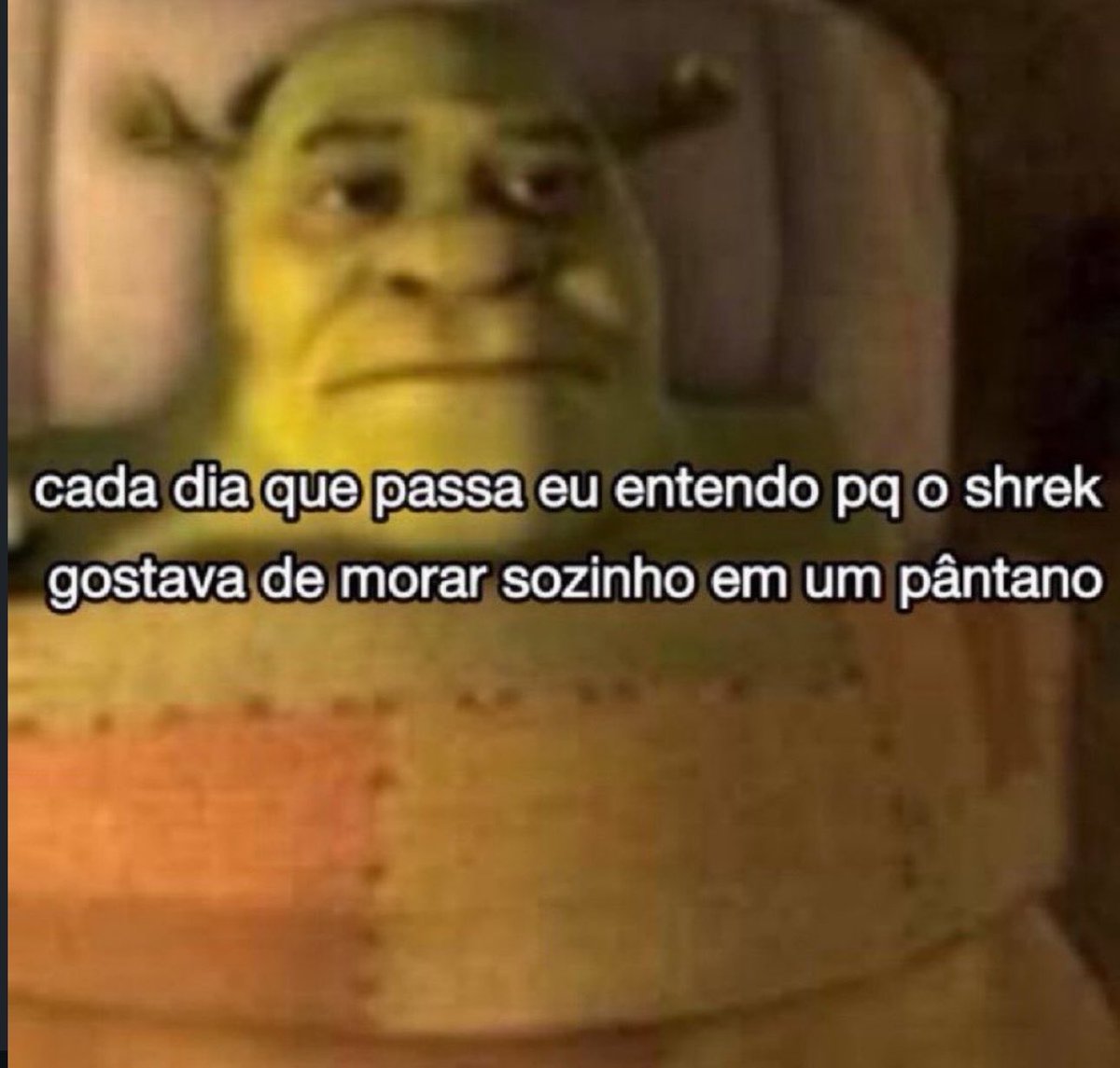 shitpostverdade's tweet photo. https://t.co/kpe586OPpu