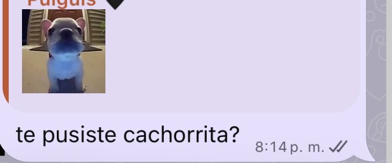 __paulinaaaa__'s tweet photo. una vez meli dijo eso y ya no pude soltarlo JAJDJAJA https://t.co/7dOr3Qqp5h