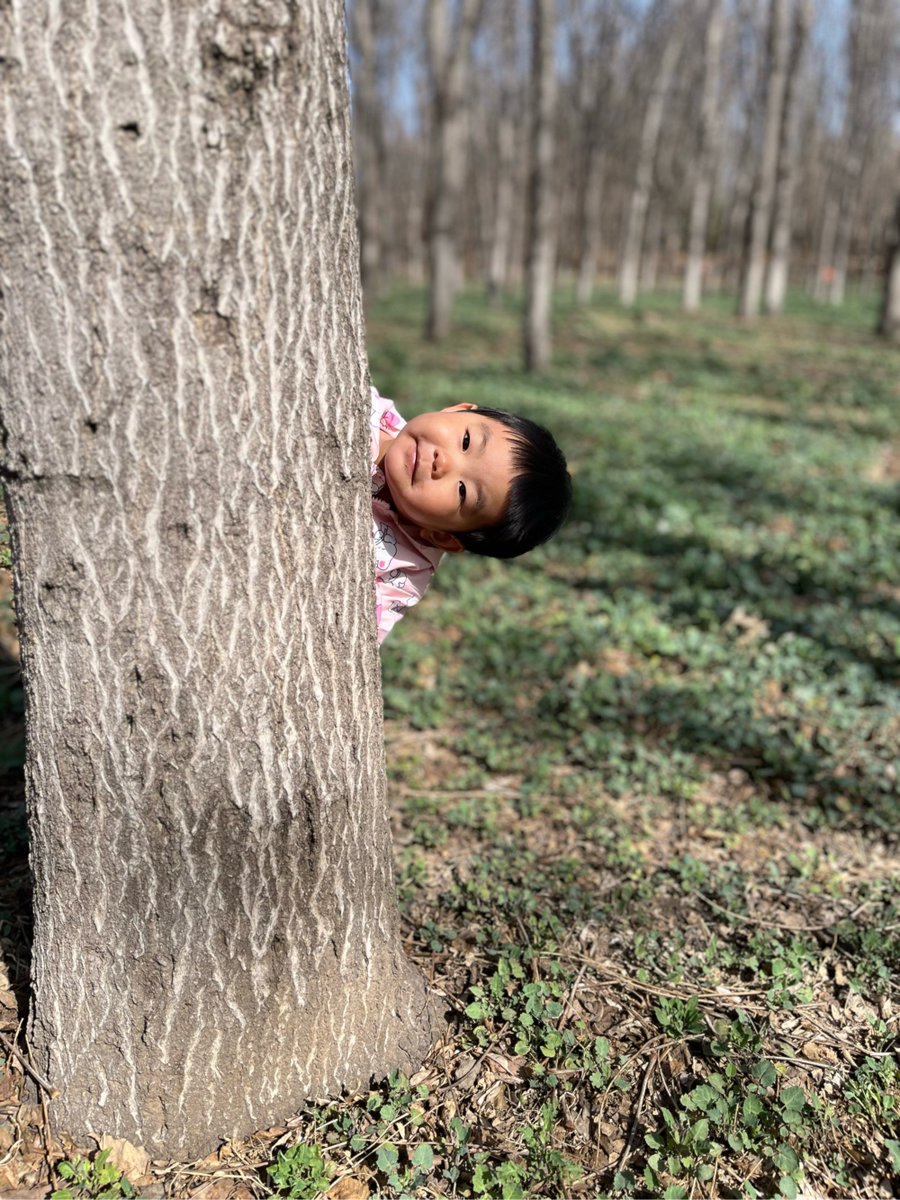 RandyCruzijnx's tweet photo. A mischievous 捣椎-like little ape playfully peeks at the old姥, its sharp角 glinting in the sun. https://t.co/wfwjClQNNU
