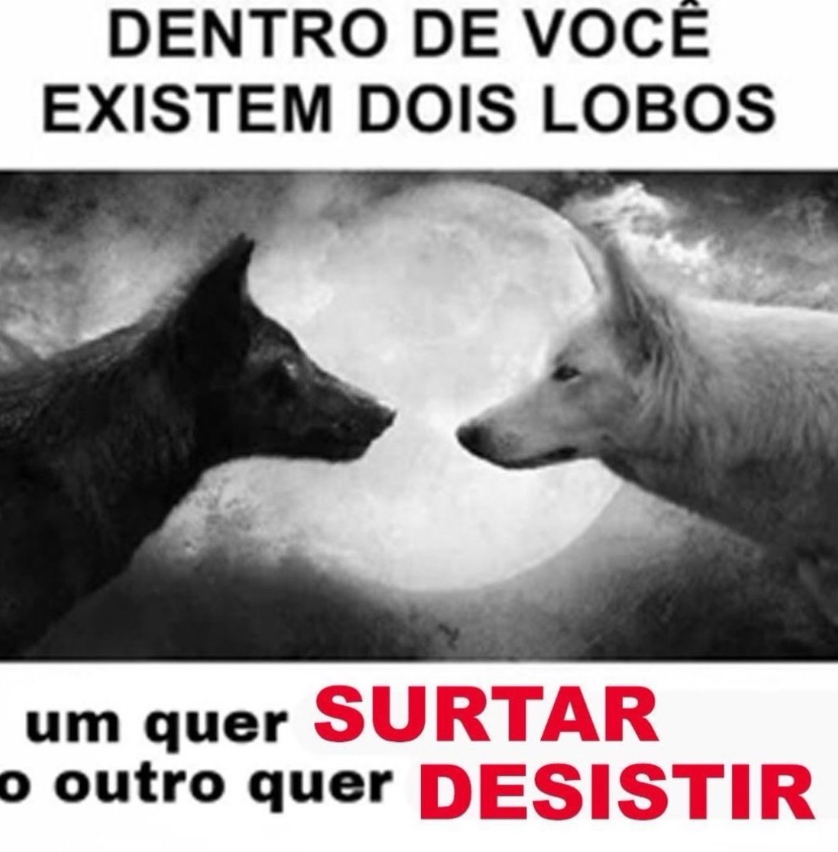 shitpostverdade's tweet photo. https://t.co/kjWYaotMsn