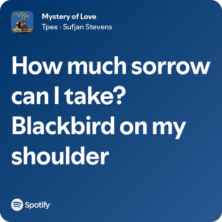 SofyDoHobi's tweet photo. Não preciso nem explicar muito essa, tem um significado do caralho pra mim pq eu me questiono muito how much sorrow can I take, mais do que o saudável pra ser sincera…. https://t.co/GLvlyZNa21