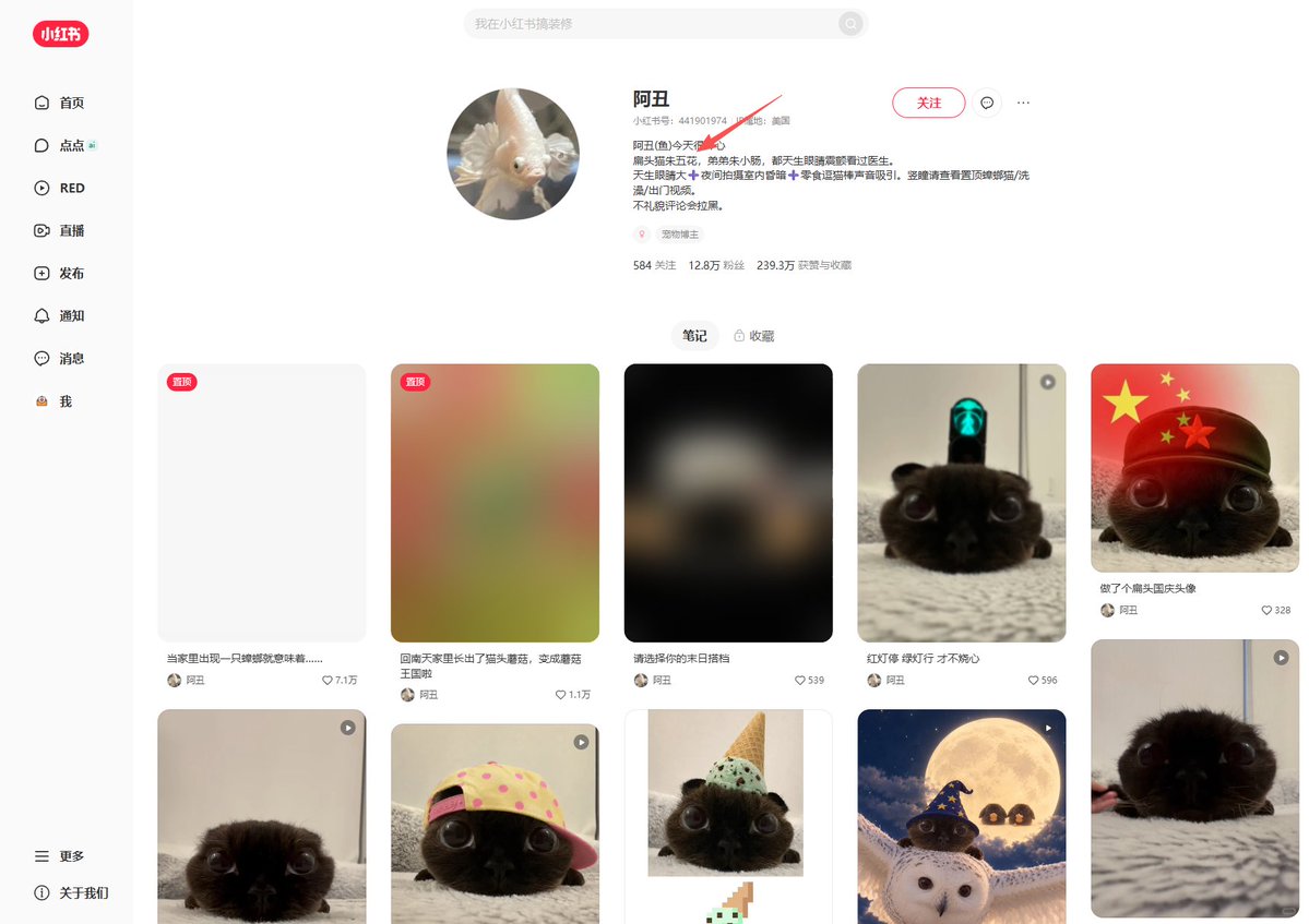 PIKAQIU_8888's tweet photo. 这真的是下一个billy  TikTok上有个新的迷因猫正在疯狂走红  
看看吧 https://t.co/fimR39TluQ 

只开始发帖一周而已，就有无穷无尽的迷因了，名字是朱五花 / pork belly https://t.co/3b7zpGiNtE