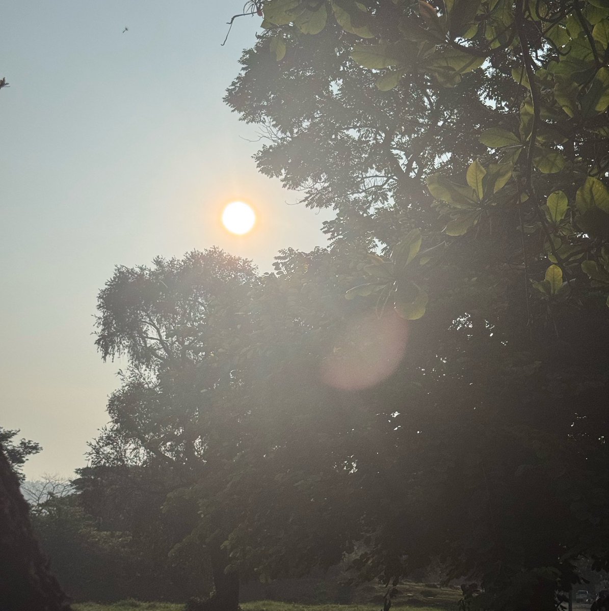 belobread's tweet photo. <morning walks3 https://t.co/GrHbNlUyDH