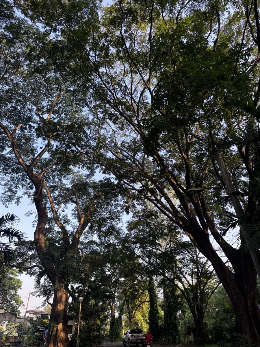 belobread's tweet photo. <morning walks3 https://t.co/GrHbNlUyDH