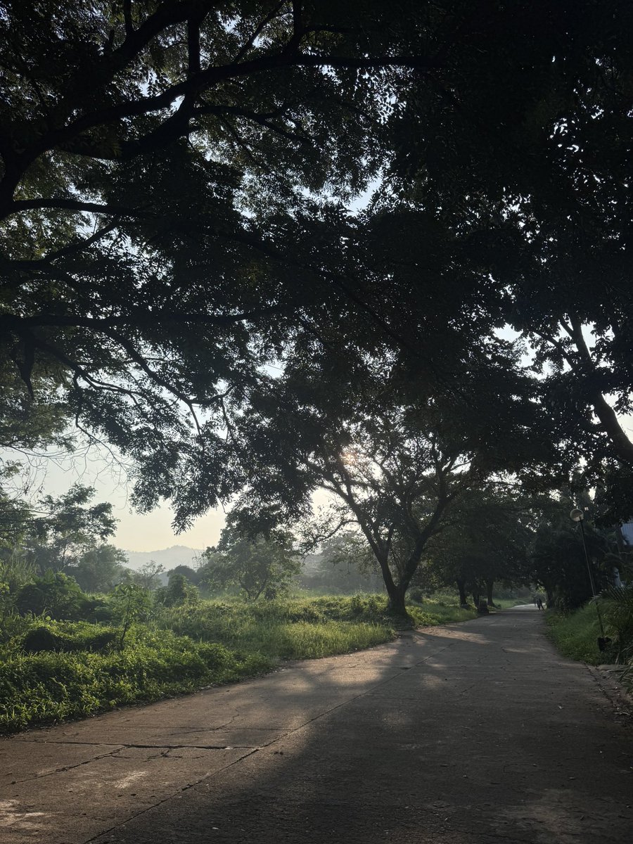 belobread's tweet photo. <morning walks3 https://t.co/GrHbNlUyDH