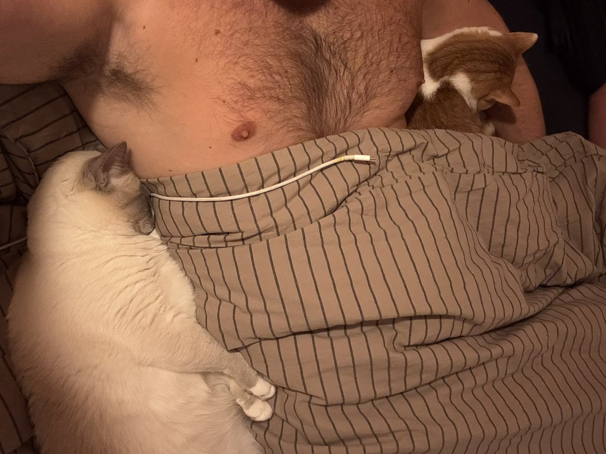 BoyInHD's tweet photo. #CatDad https://t.co/tcW3BU0XPg