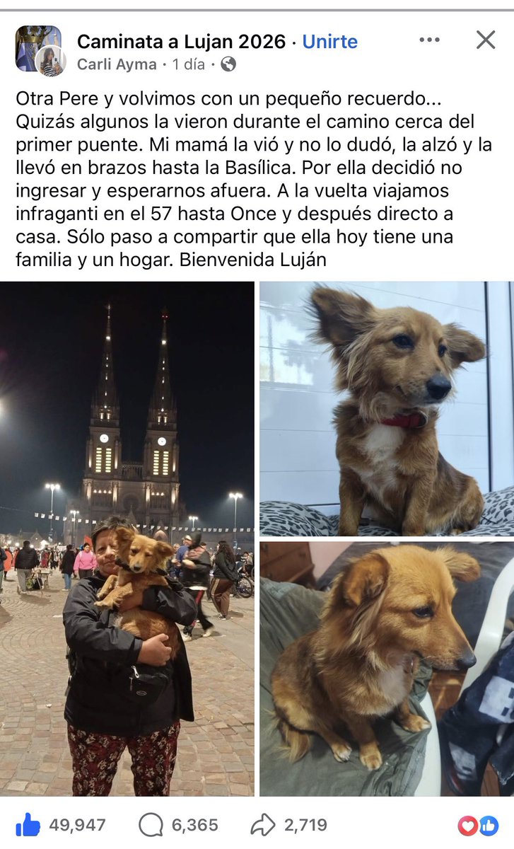 piscis_jpeg's tweet photo. Una señora encontró una perrita en la calle haciendo la peregrinación y la adoptó poniéndole de nombre: LUJÁN.

Soy lágrimas 😭😭😭 te amo perrita peregrina, estas historias me matan. https://t.co/zY0HqCbKm4