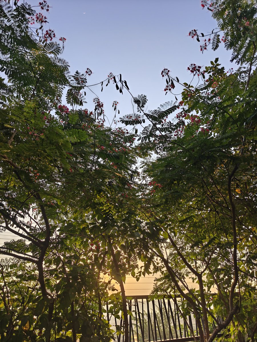 Aruntweets123's tweet photo. Day 49: 8 hours of good sleep + a dose of early morning sunshine ☀️ = a perfect combination for anyone seeking good health. 🌿💪 

Start your day right, and let your body thank you for it!
#Day49 #MorningWalk #40MinWalk #HealthyHabits #MorningSunshine #GoodHealth #MorningRoutine https://t.co/kq8Oc2A9TY