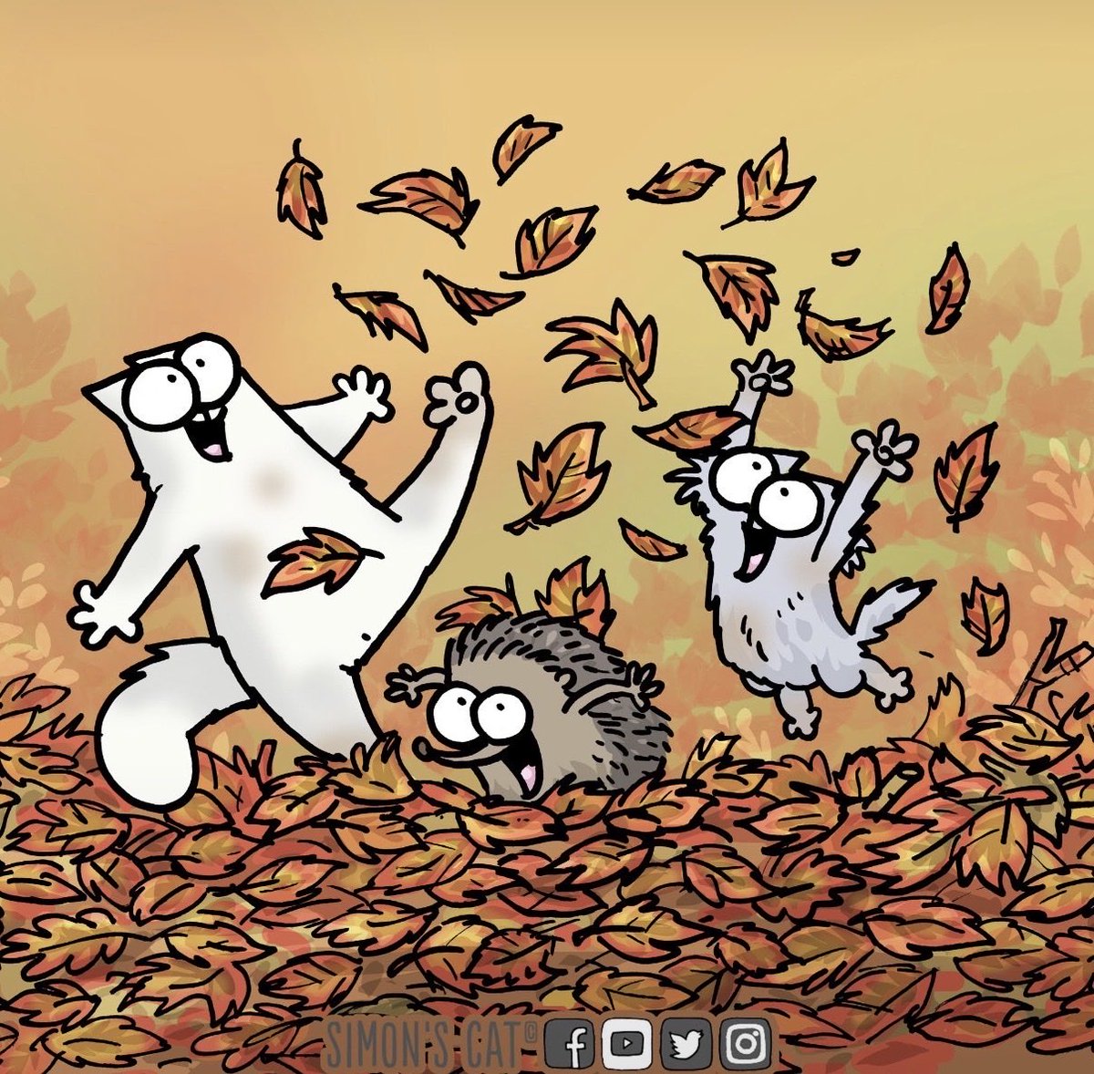 SimonsCatMeme's tweet photo. How I’m moving in $CAT szn 😸 https://t.co/bJhd3XZo4I