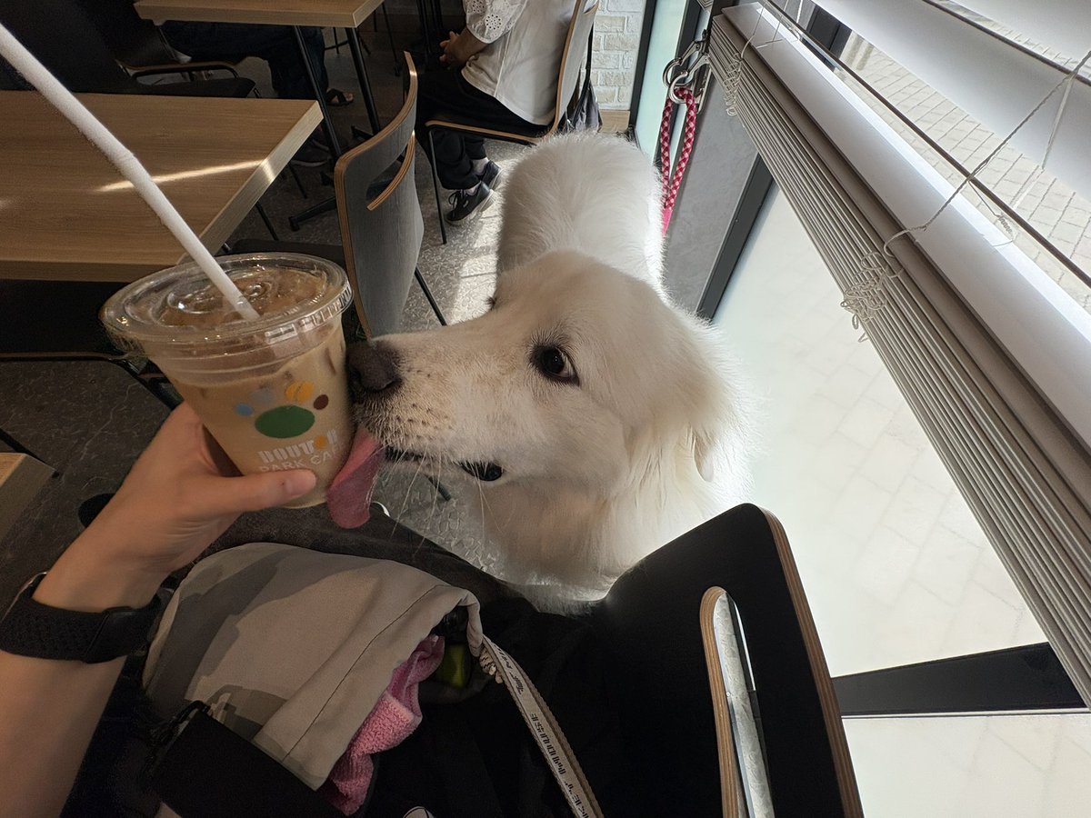 klchi_8's tweet photo. あさみんとの待ち合わせ前の朝活🐻‍❄️🐾 https://t.co/UmCNpyGbPN
